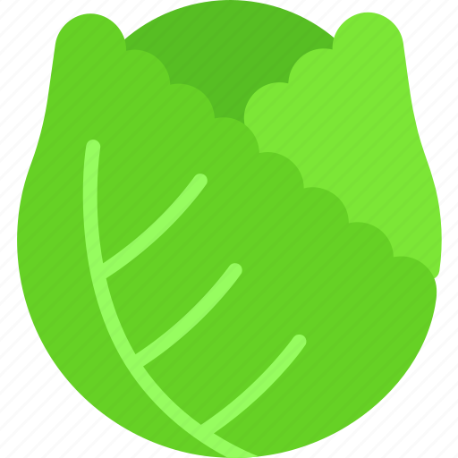 Cabbage, cooking, food, kitchen, meal, vegetable, vegetables icon - Download on Iconfinder