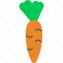 carrot, cooking, food, kitchen, seasoning, vegetable, vegetables