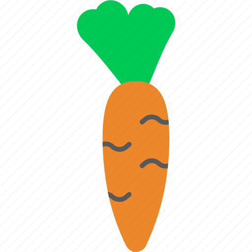 Carrot, cooking, food, kitchen, seasoning, vegetable, vegetables icon - Download on Iconfinder