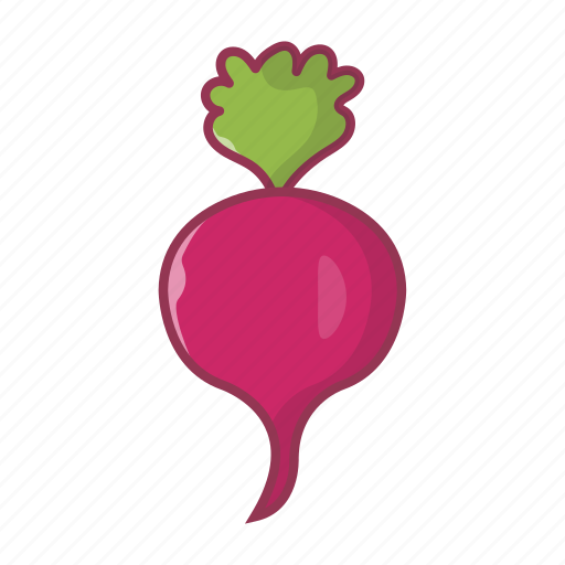 Agriculture, food, vegetable, turnip, beetroot icon - Download on Iconfinder