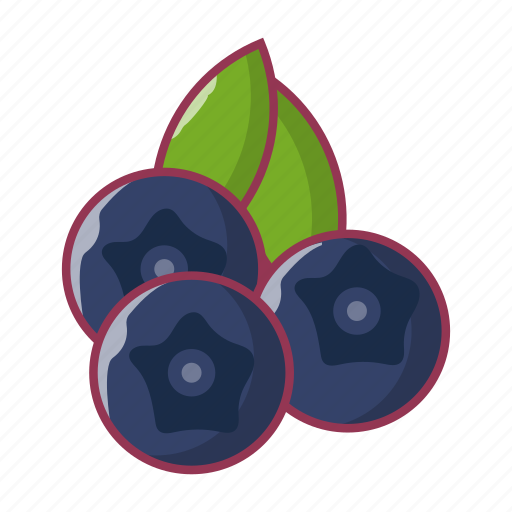 Agriculture, blueberry, food, fruit, juicy icon - Download on Iconfinder
