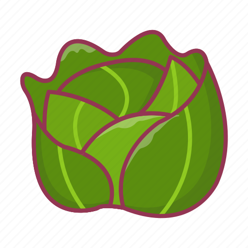Eat, cabbage, broccoli, vegetable, food icon - Download on Iconfinder