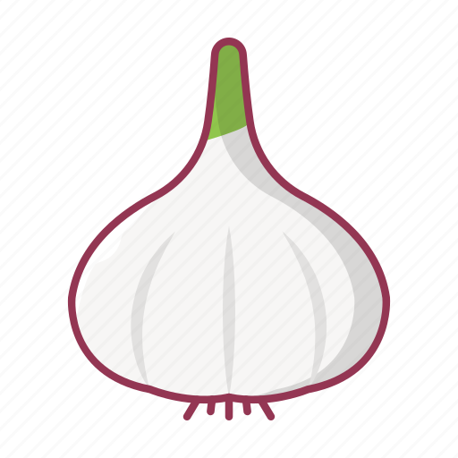 Agriculture, food, vegetable, garlic, cooking icon - Download on Iconfinder