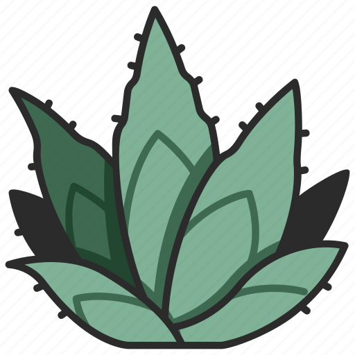 Cactus, leaf, nature, botany, plant, agave icon - Download on Iconfinder