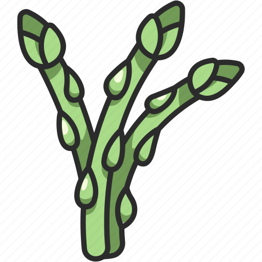 Cooking, healthy, food, organic, vegetable, asparagus icon - Download on Iconfinder