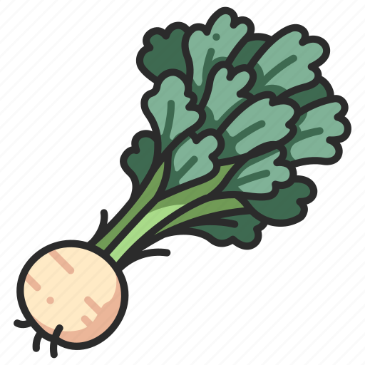Root, celery, celeriac, healthy, organic, vegetable, fresh icon - Download on Iconfinder