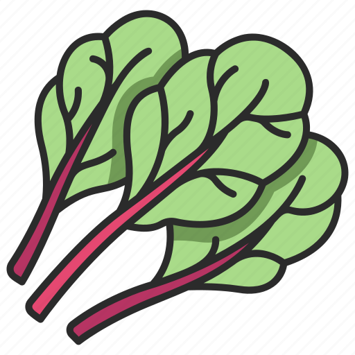 Leaf, chard, plant, healthy, organic, vegetable, vegetarian icon - Download on Iconfinder