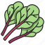 leaf, chard, plant, healthy, organic, vegetable, vegetarian 