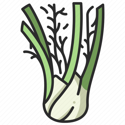 Spice, plant, herb, healthy, fennel, vegetable icon - Download on Iconfinder