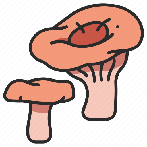 Food, red, mushroom, pine, toadstools icon - Download on Iconfinder