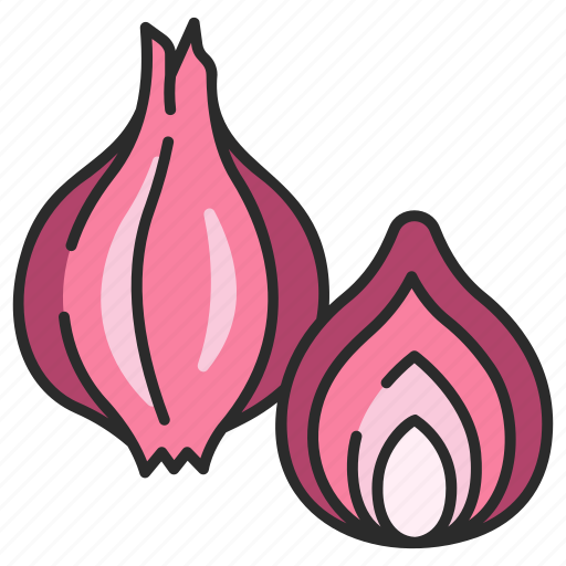 Healthy, food, organic, vegetable, onion, shallot, vegetarian icon - Download on Iconfinder