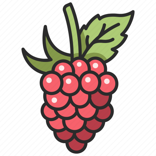 Food, fruit, organic, raspberry, berry icon - Download on Iconfinder