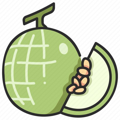 Food, slice, cantaloupe, fruit, juicy, melon icon - Download on Iconfinder