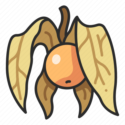 Fruit, organic, physalis, healthy, nature icon - Download on Iconfinder