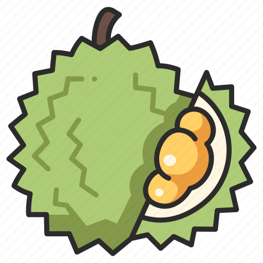 Vegan, delicious, organic, fruit, durian, thorn icon - Download on Iconfinder