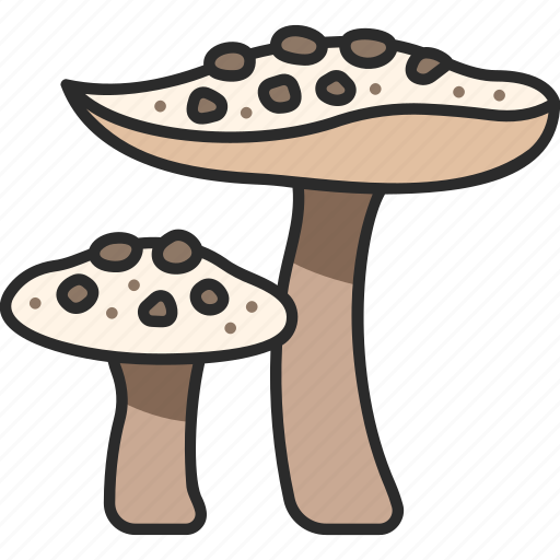Food, fungus, mushroom, parasol, nature icon - Download on Iconfinder