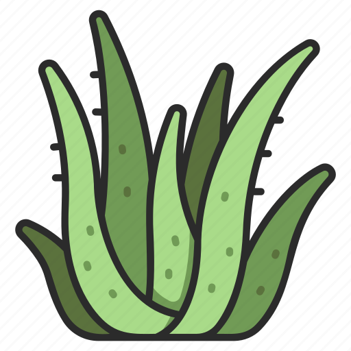 Vera, leaf, cosmetic, aloe, herbal, fresh, health icon - Download on Iconfinder