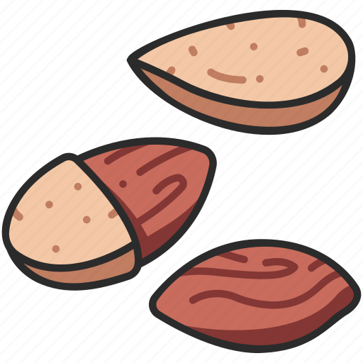 Seed, kernel, almond, nut, healthy, food, snack icon - Download on Iconfinder