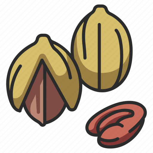 Food, nut, snack, pecan, seed icon - Download on Iconfinder