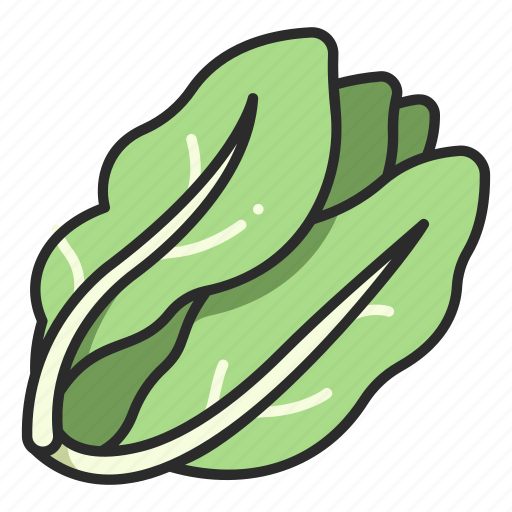 Vegan, food, organic, vegetable, fresh, salad, lettuce icon - Download on Iconfinder