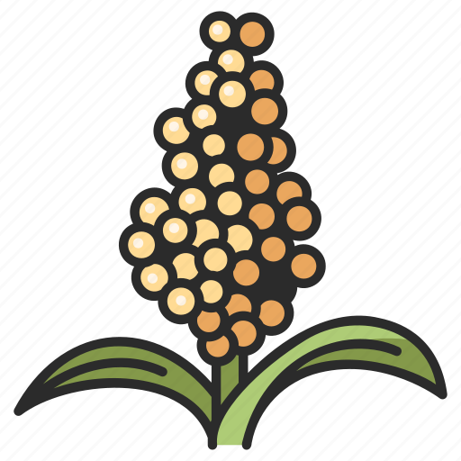 White, grain, seed, sorghum, food, agriculture, crop icon - Download on Iconfinder