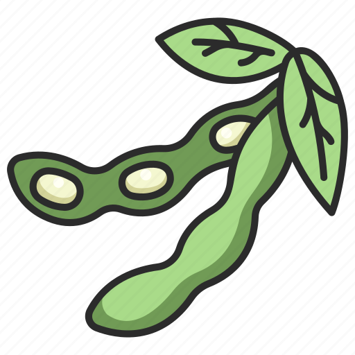 Soy, soybean, vegetable, organic, bean, soybeans, agriculture icon - Download on Iconfinder