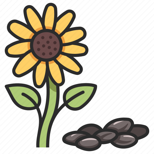 Food, organic, seeds, sunflower, flower, snack icon - Download on Iconfinder