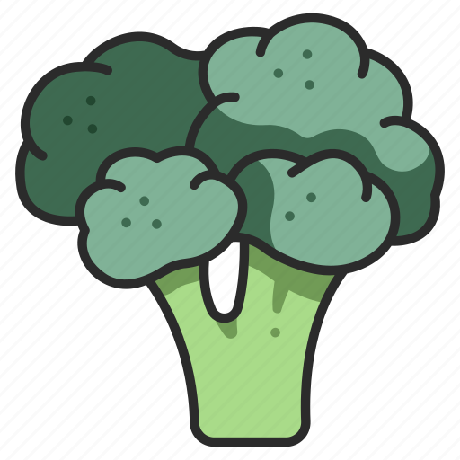 Diet, broccoli, healthy, food, organic, vegetable, ingredient icon - Download on Iconfinder