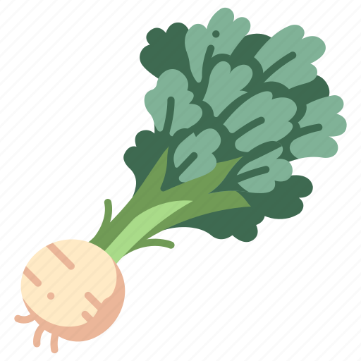 Healthy, fresh, celeriac, vegetable, root, organic, celery icon - Download on Iconfinder