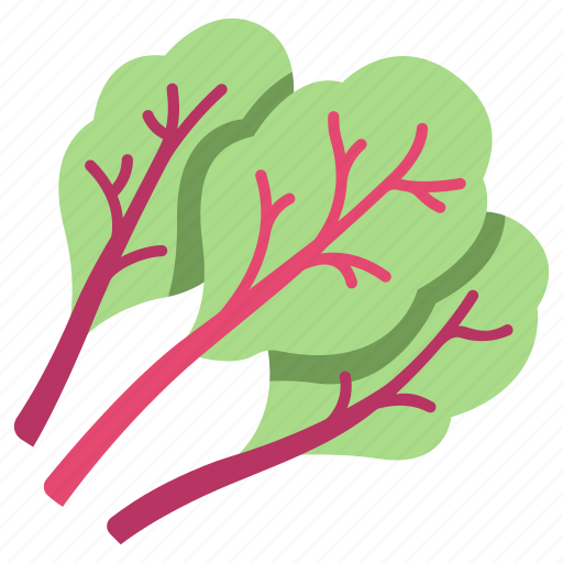 Vegetable, plant, chard, healthy, leaf, vegetarian, organic icon - Download on Iconfinder
