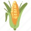 agriculture, maize, vegetable, corn, food, grain 
