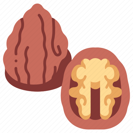 Walnut, kernel, nut, snack, food, organic icon - Download on Iconfinder