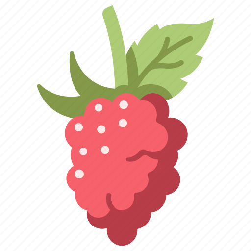Raspberry, berry, organic, fruit, food icon - Download on Iconfinder