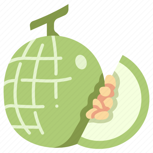 Slice, juicy, fruit, food, melon, cantaloupe icon - Download on Iconfinder
