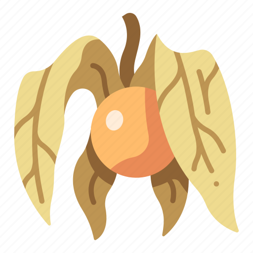 Organic, physalis, healthy, fruit, nature icon - Download on Iconfinder