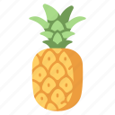 pineapple, juicy, healthy, fruit, organic