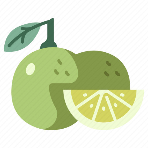 Sour, vegan, lime, juicy, fruit, citrus, food icon - Download on Iconfinder