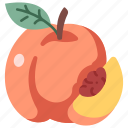 leaf, juicy, fruit, vegan, peach
