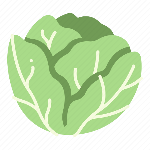 Salad, cabbage, fresh, vegetable, harvest, plant icon - Download on Iconfinder