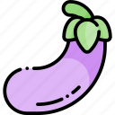 eggplant, vegetable, healthy food, food