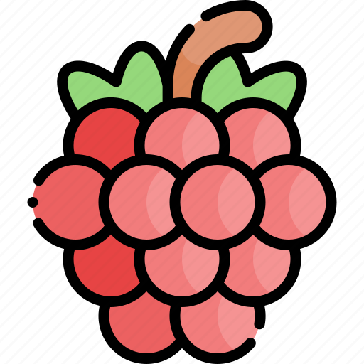 Raspberry, fruit, healthy food, food icon - Download on Iconfinder