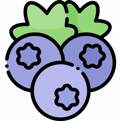 Blueberry, fruit, healthy food, food icon - Download on Iconfinder