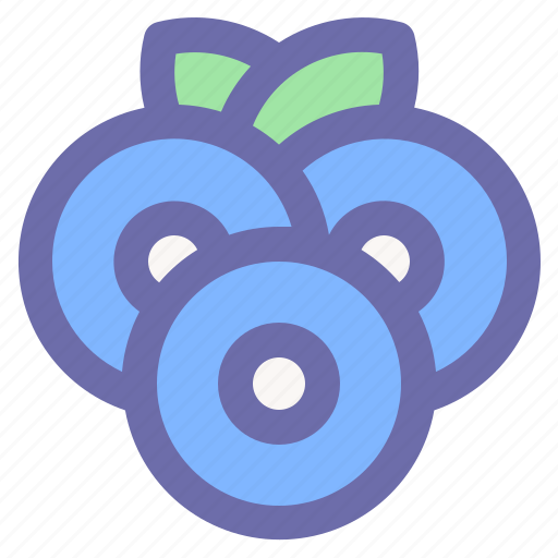 Blueberries, fruit, fresh, vegetarian, nutrition icon - Download on Iconfinder