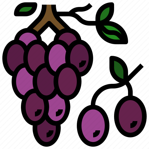 Berry, bouquet, food, fruit, grapes icon - Download on Iconfinder