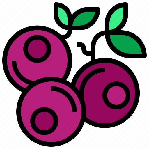 Blueberries, dessert, food, fruit, healthy icon - Download on Iconfinder