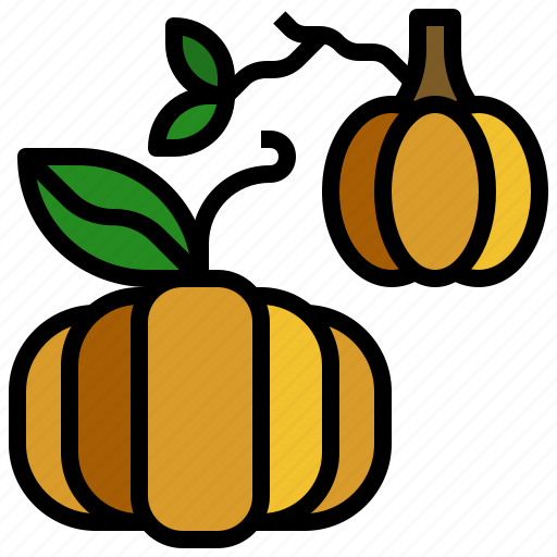 Diet, food, fruit, pumpkin, vegetarian icon - Download on Iconfinder