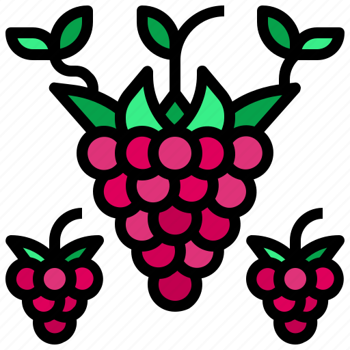 Food, fruit, organic, raspberry, vegan icon - Download on Iconfinder