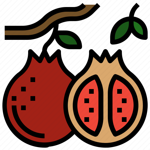 Food, fruit, organic, pomegranate, vegan icon - Download on Iconfinder