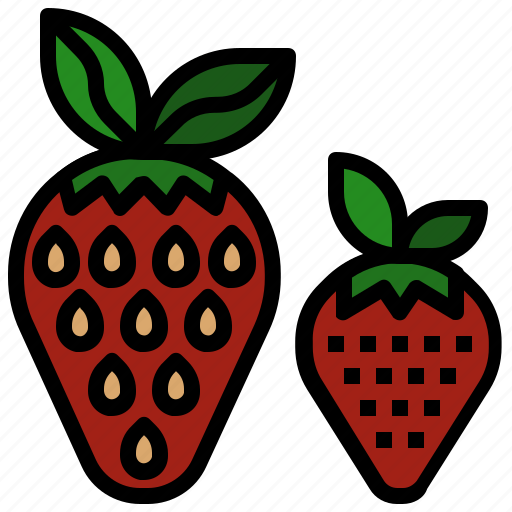 Diet, food, fruit, strawberry, vegetarian icon - Download on Iconfinder