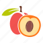 apricot, food, fruit, peach 